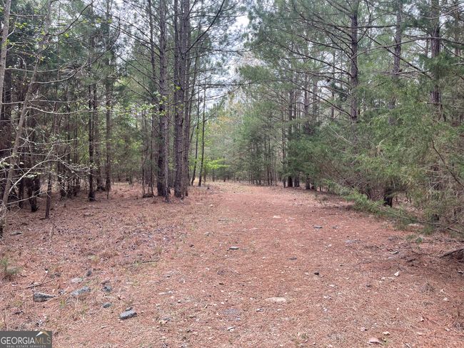 0 Green Oak Cir, Home with 0 bedrooms, 0 bathrooms and null parking in Thomaston GA | Image 36
