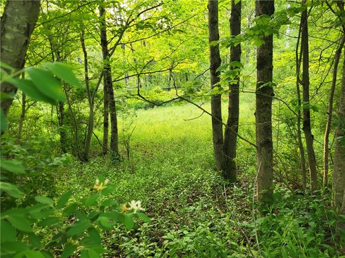 Lot 14.1 Joe Rd, South Otselic, NY, 13155 | Card Image