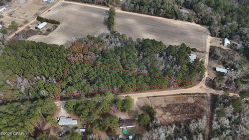 0 Clemmons Rd, Bonifay, FL, 32425 | Card Image