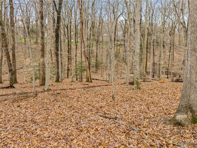 11240 Turnley Ln, Home with 0 bedrooms, 0 bathrooms and null parking in Midlothian VA | Image 13