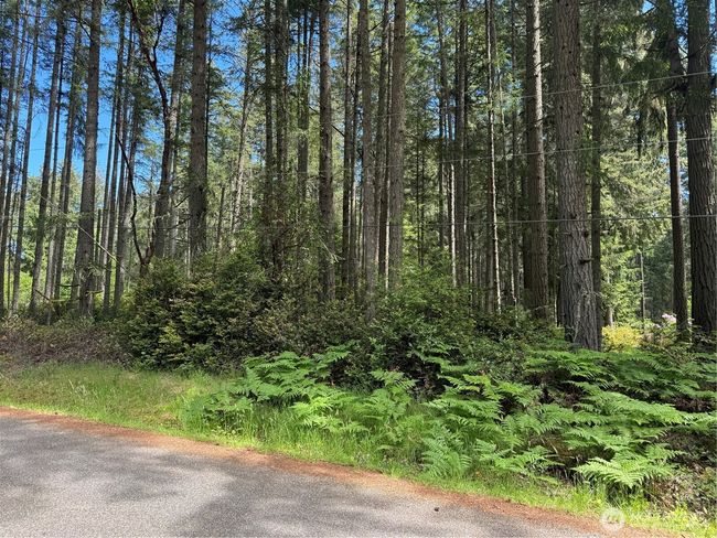 10409 Tahoma Dr, Home with 0 bedrooms, 0 bathrooms and null parking in Anderson Island WA | Image 18