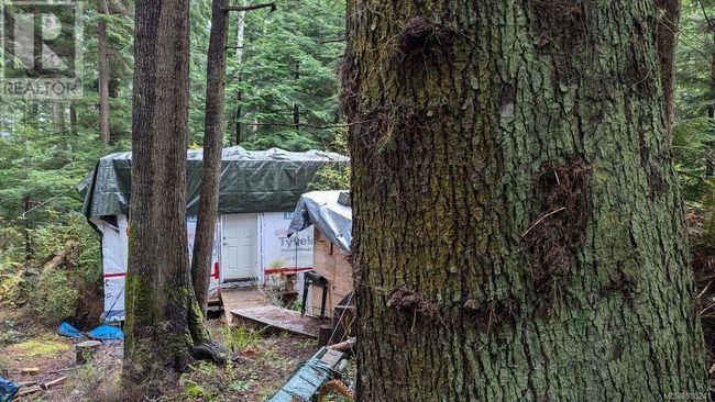 542E Larch St, Home with 0 bedrooms, 0 bathrooms and null parking in Alert Bay BC | Image 5