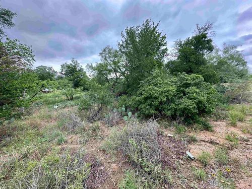 Lot 249 Cactus Trl, Kingsland, TX, 78639 | Card Image