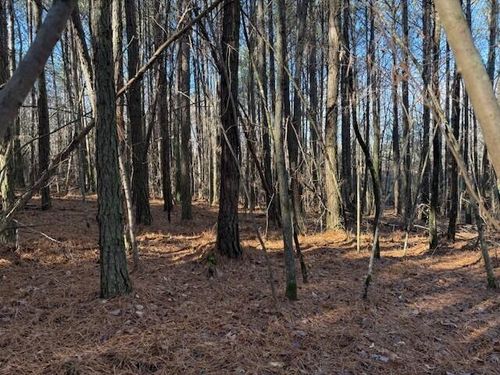 9 Us Highway 11, Valley Head, AL, 35989 | Card Image