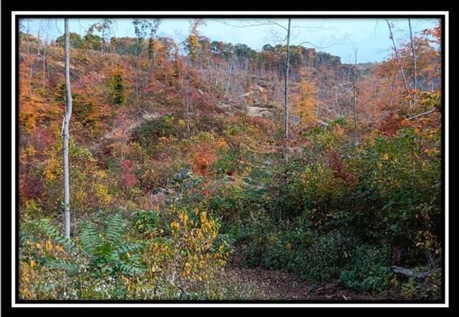 TRACT-1 - 34482 Huston Rd, Home with 0 bedrooms, 0 bathrooms and null parking in Radcliff OH | Image 11