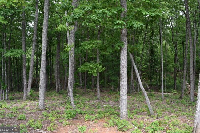 LOT 28 High Summit Dr, Home with 0 bedrooms, 0 bathrooms and null parking in Talking Rock GA | Image 7