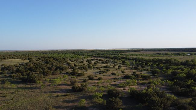 3609 Fm 1086, Home with 0 bedrooms, 0 bathrooms and null parking in Ovalo TX | Image 24
