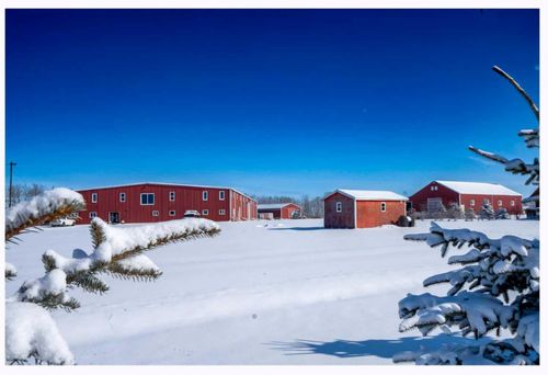 {{alt}} | Card Image