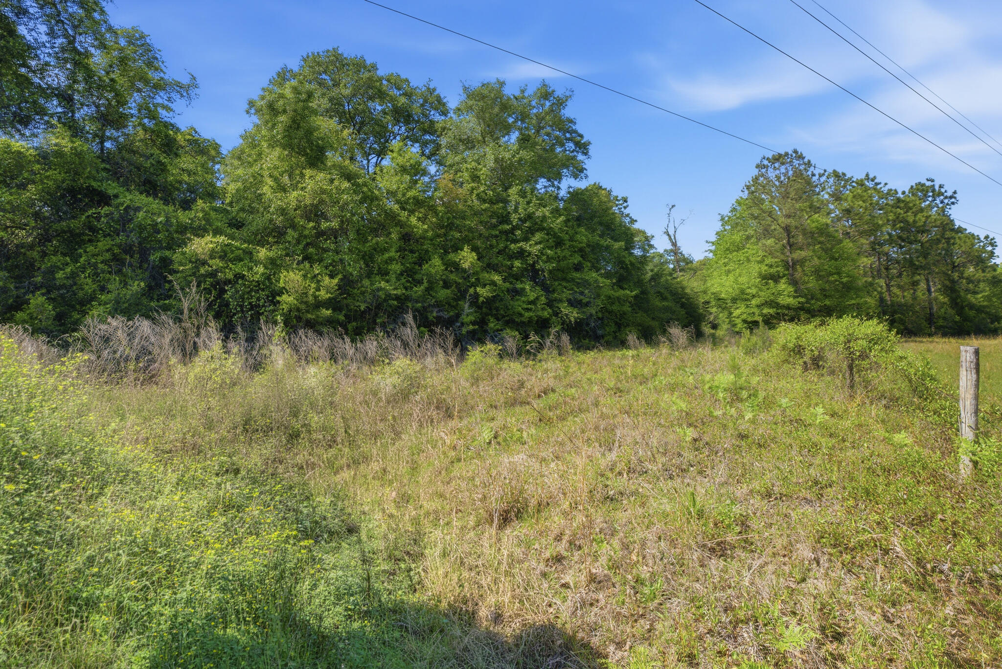 Land in Baker