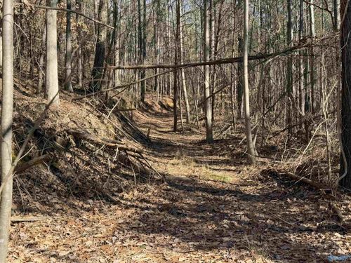 0 County Rd, Town Creek, AL, 35672 | Card Image