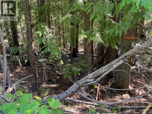 Lot 43 Vickers Trail, Anglemont, BC, V0E1M8 | Card Image