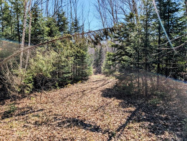 N12912 State Highway 13, House other with 2 bedrooms, 1 bathrooms and null parking in Fifield WI | Image 47