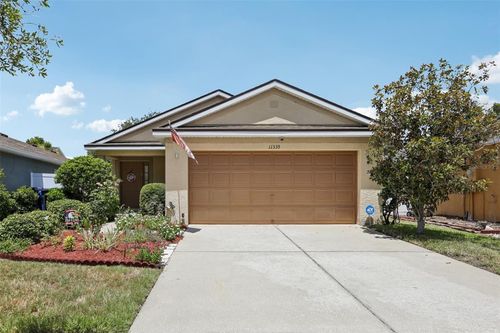 11339 Palm Island Ave, RIVERVIEW, FL, 33569-2953 | Card Image