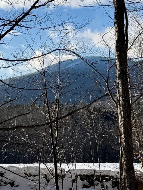 000 Vt Route 11, Londonderry, VT, 05148 | Card Image