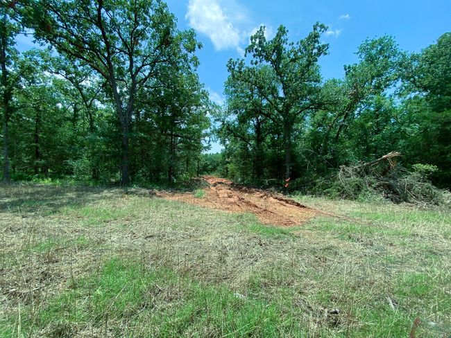 5 W Carrington Ave, Home with 0 bedrooms, 0 bathrooms and null parking in Marquez TX | Image 4