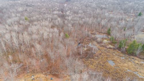 1446 Flinton Rd, Flinton, ON, K0H1P0 | Card Image