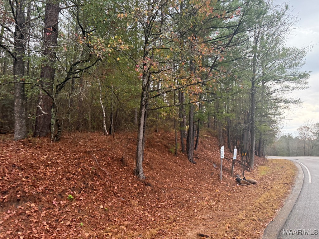 Land in Tallassee 2