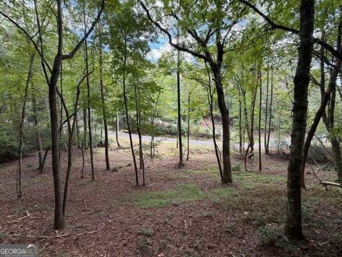133 Seneca Dr, Ellijay, GA, 30540-0697 | Card Image