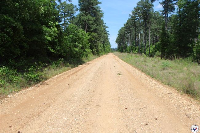 201 Nevada 25, Home with 0 bedrooms, 0 bathrooms and null parking in Rosston AR | Image 7