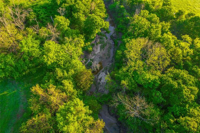 Aerial view | Image 37