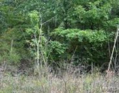 0 Lot #316 Villa Vista Drive, Owensville, MO, 65066 | Card Image