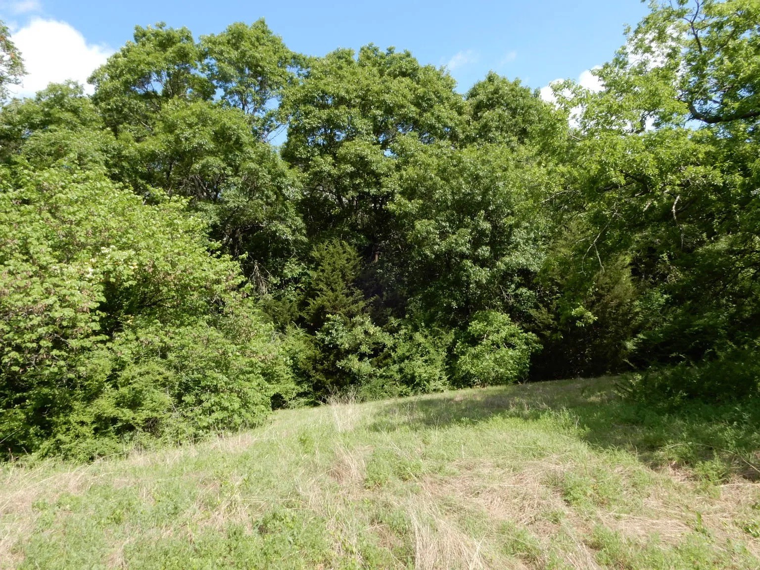Land in Dallas