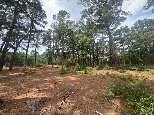 91 N Hill Ridge Dr, Bastrop, TX, 78602 | Card Image