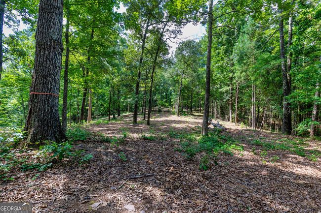 0 John Lovelace Rd, Home with 0 bedrooms, 0 bathrooms and null parking in LAGRANGE GA | Image 28
