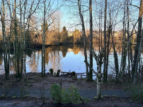 8-31501 Upper Maclure Rd, Abbotsford, BC, V2T5S6 | Card Image