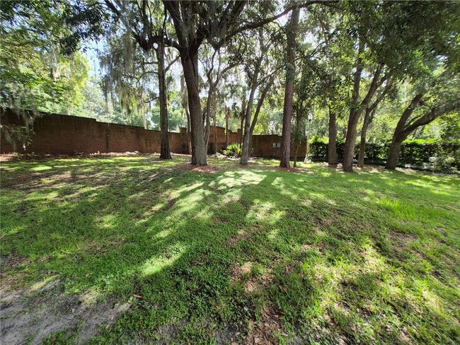 .33 acres, tree canopy | Image 13