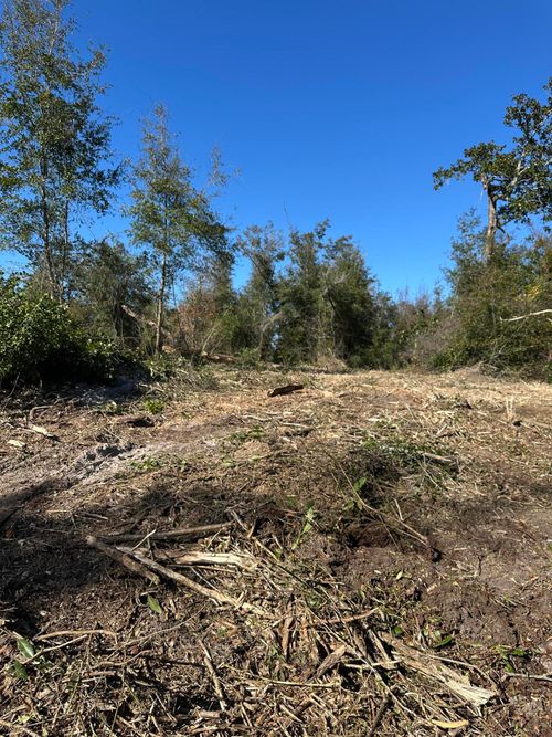 31 Indian Bluff Dr, Youngstown, FL, 32466 | Card Image