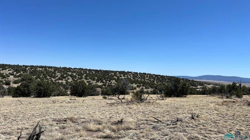17 Golden Horseshoe Tr, Quemado, NM, 87829 | Card Image