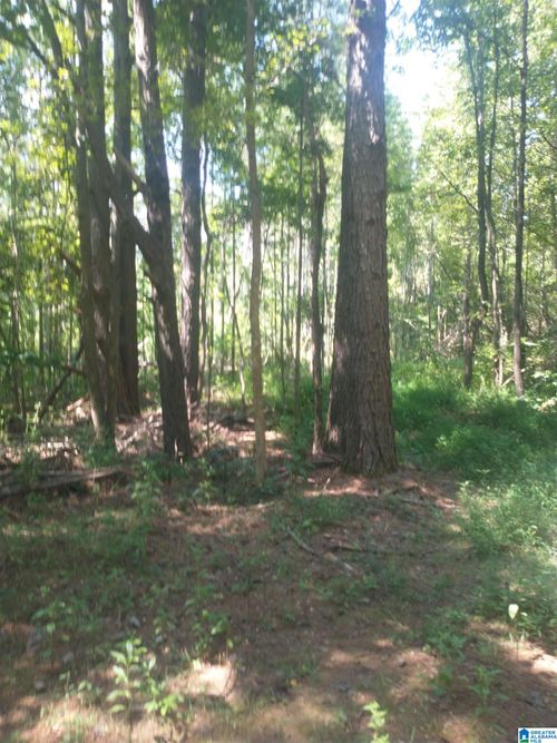 36-1570 County Road 41, WEOGUFKA, AL, 35183 | Card Image