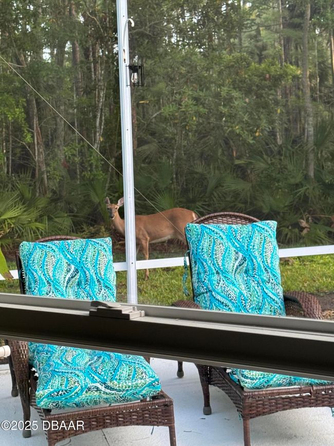 4 Creek Bend Way, House other with 5 bedrooms, 3 bathrooms and null parking in Ormond Beach FL | Image 23