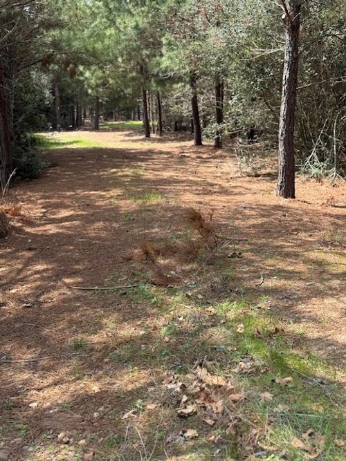 186 Hook Em Horns Dr, Paige, TX, 78659-4908 | Card Image