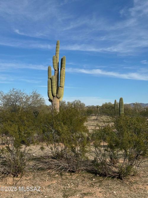 0-XXX E Escondido Way, Marana, AZ, 85658 | Card Image