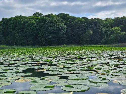 TBD Valley Ln Sw, Farwell, MN, 56327 | Card Image