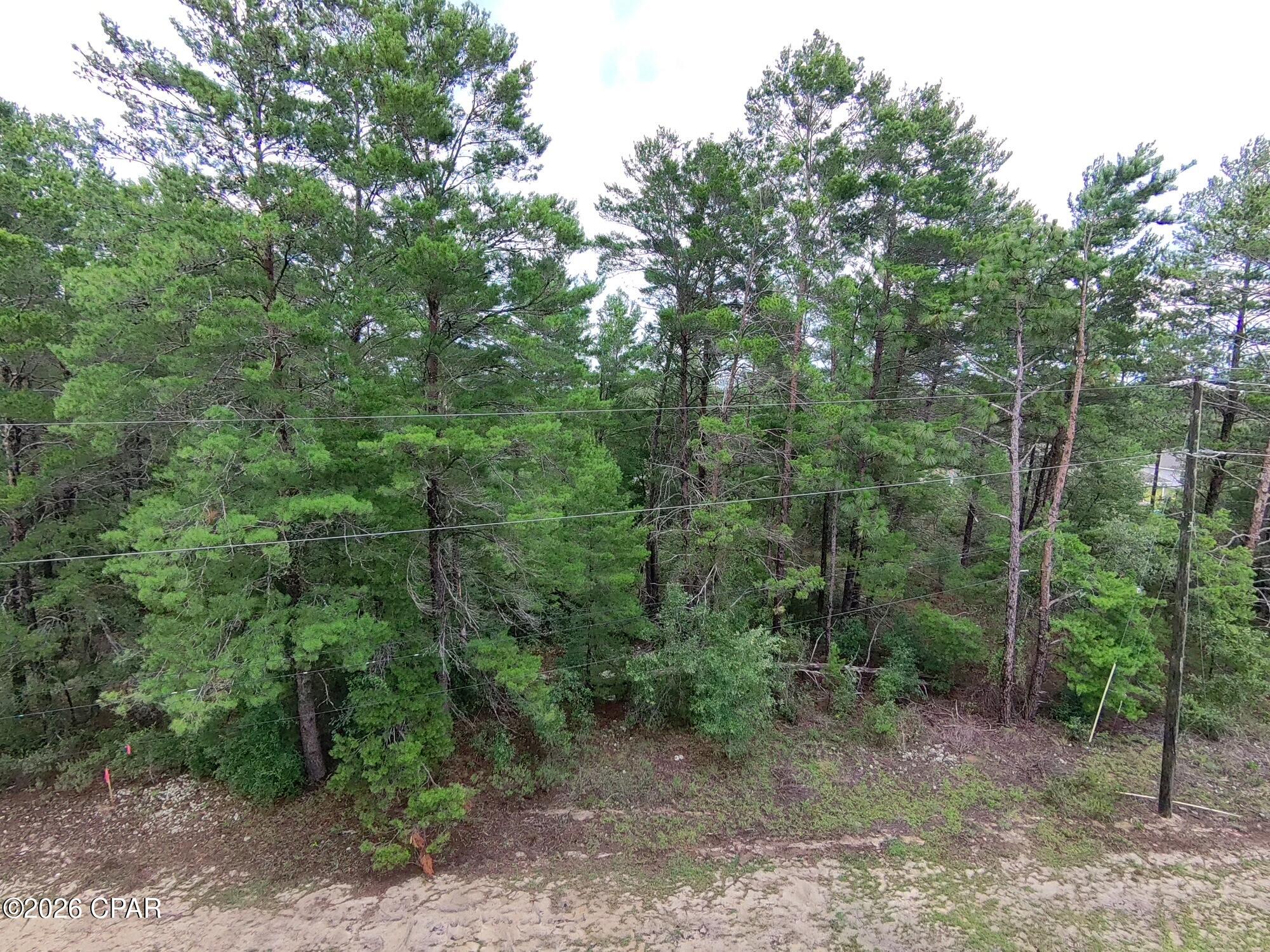 Land in Chipley 2
