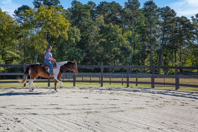 Riverend Barn Rider 2 | Image 34