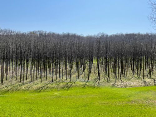 0 State Road 262, Dillsboro, IN, 47018 | Card Image