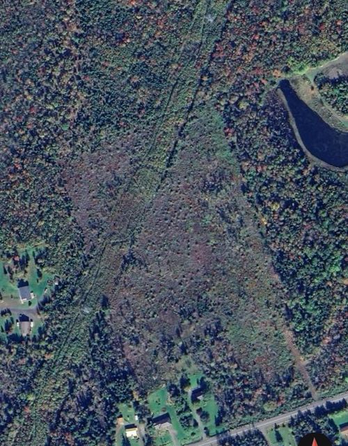 313 Mark Rd, Riverton, NS, B0K1S0 | Card Image