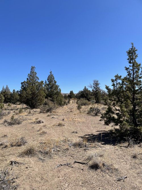 347 Se Maple Ln, Prineville, OR, 97754-3429 | Card Image