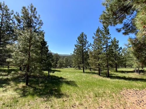 1268 Torry Pines Ln, Angel Fire, NM, 87710 | Card Image