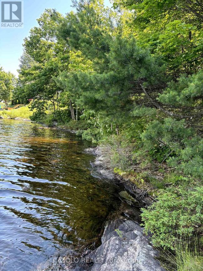 18 Hawkins Point Road, Home with 0 bedrooms, 0 bathrooms and null parking in Georgian Bay (Freeman) ON | Image 12