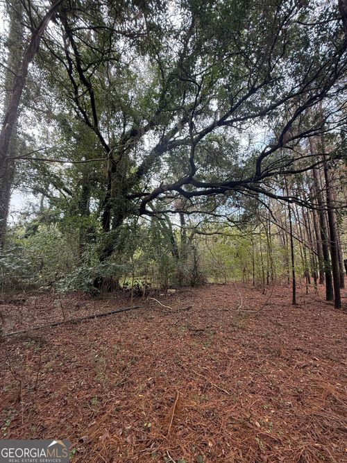 91 Phillipsville Rd, Fleming, GA, 31309-8617 | Card Image