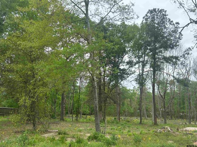 513 State Highway 323 E, Home with 0 bedrooms, 0 bathrooms and null parking in Overton TX | Image 6