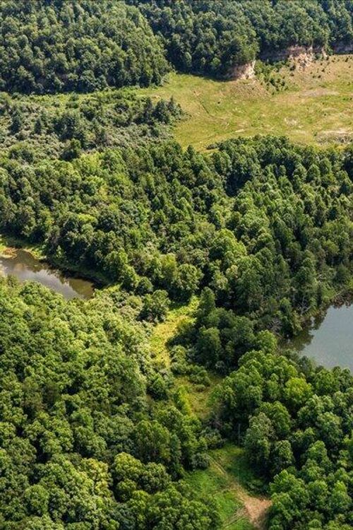 9999 Terrell Hollow Rd, Rockholds, KY, 40759 | Card Image