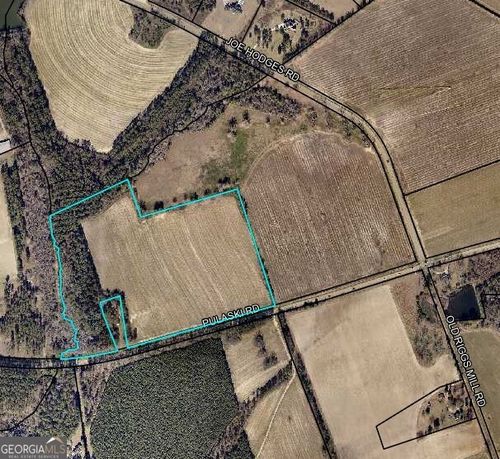 41.87 ACRES Pulaski Rd, Statesboro, GA, 30458 | Card Image