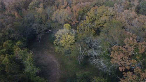 6763 Park Ave, Hot Springs, AR, 71901-9487 | Card Image