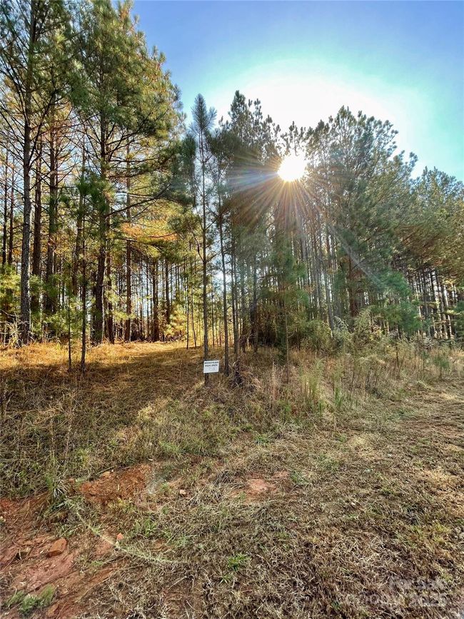 Flat land ready for your new home. | Image 11